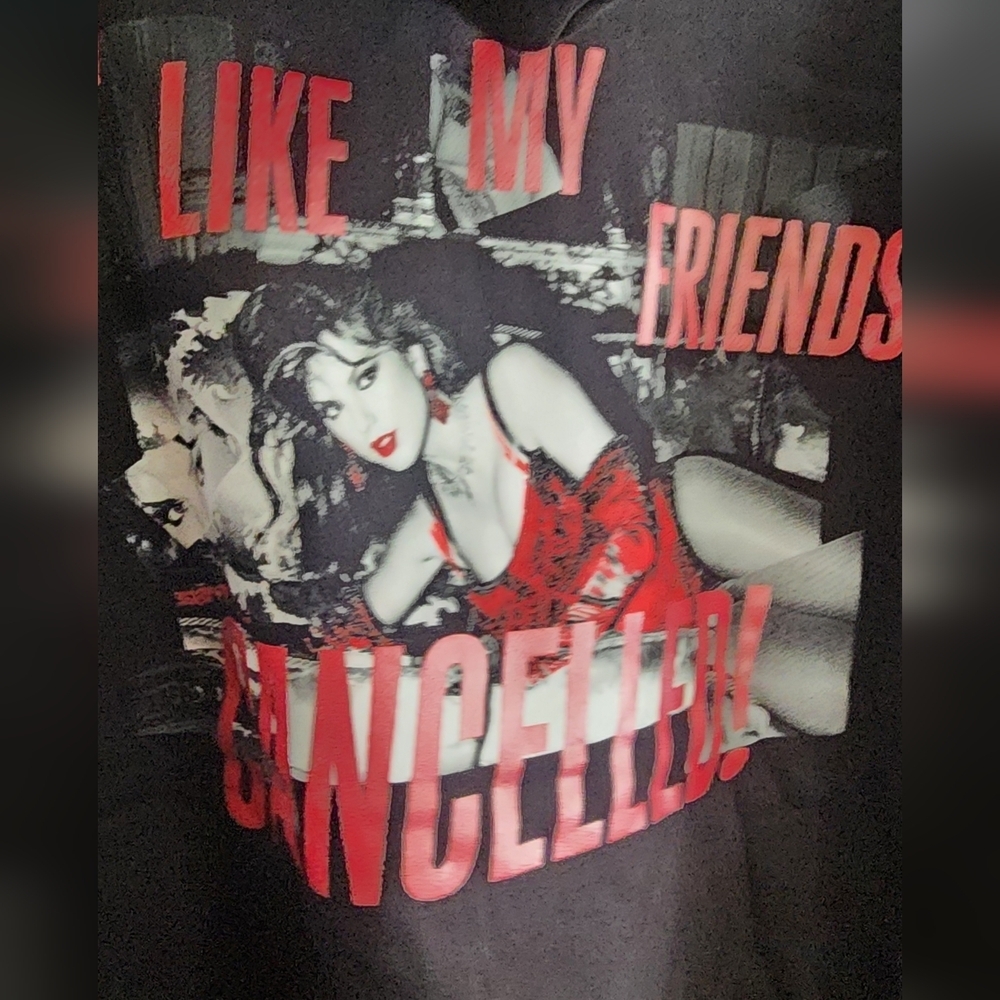 Official Taylor Swift Merch I Like My Friends Cancelled!Hoodie  Brand New Medium - Picture 3 of 7